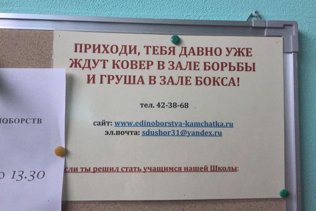 Агитация здорового образа жизни Спортивная агитация